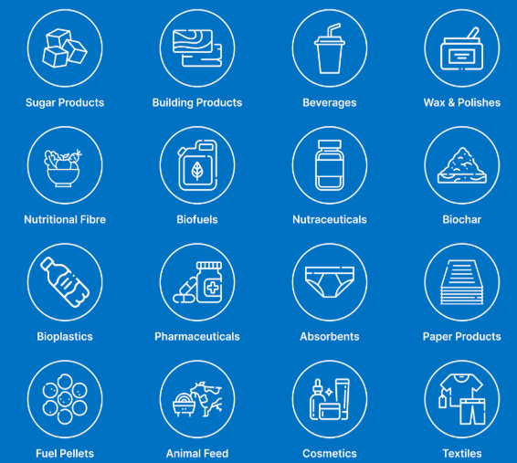 Future product categories from the Tilby Lang System — sugar products, building products, beverages, wax and polishes, nutritional fibre, biofuels, nutraceuticals, biochar, bioplastics, pharmaceuticals, absorbents, paper products, fuel pellets, animal feed, cosmetics and textiles.